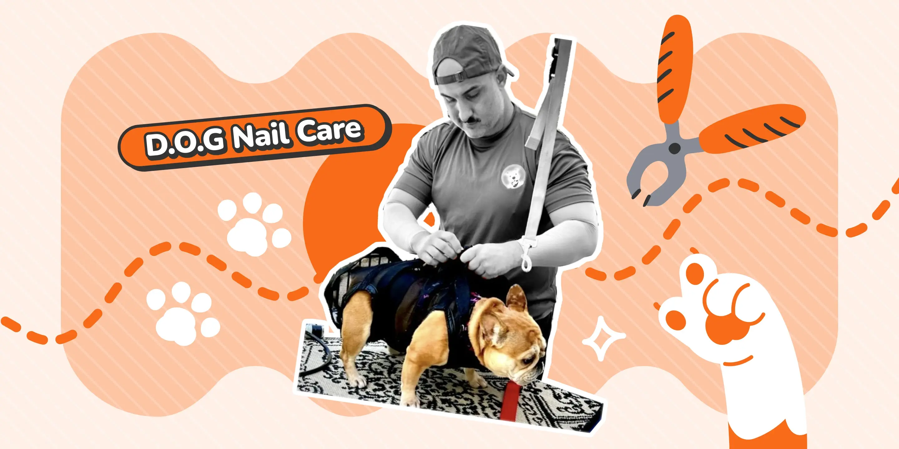 View of How D.O.G Nail Care Professionals Streamlined Mobile Pet Services with ...